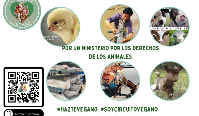 Por un Ministerio por los Derechos de los Animales. Firma Ahora y ayudanos  a cambiar la realidad que viven muchos Animales